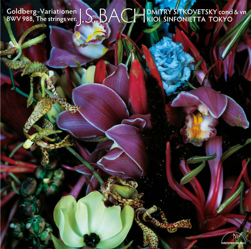 69人人操天天拍日日干台湾
